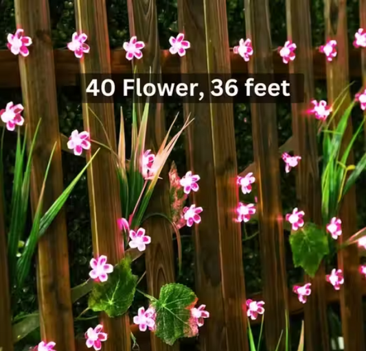 36 LED Flower Light 36 feet Diwali String Light Series for Home Garden Decoration Diwali Christmas Festival Decorative Light (Pink Color)